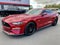 2021 Ford Mustang GT Premium w/ Performance Package