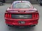 2021 Ford Mustang GT Premium w/ Performance Package