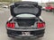 2017 Ford Mustang Shelby GT350