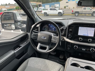 2023 Ford F-150 XLT Crew Cab FX4 4x4 6.5' Box