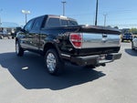 2013 Ford F-150 Platinum 4x4 Crew Cab