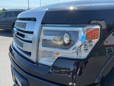 2013 Ford F-150 Platinum 4x4 Crew Cab