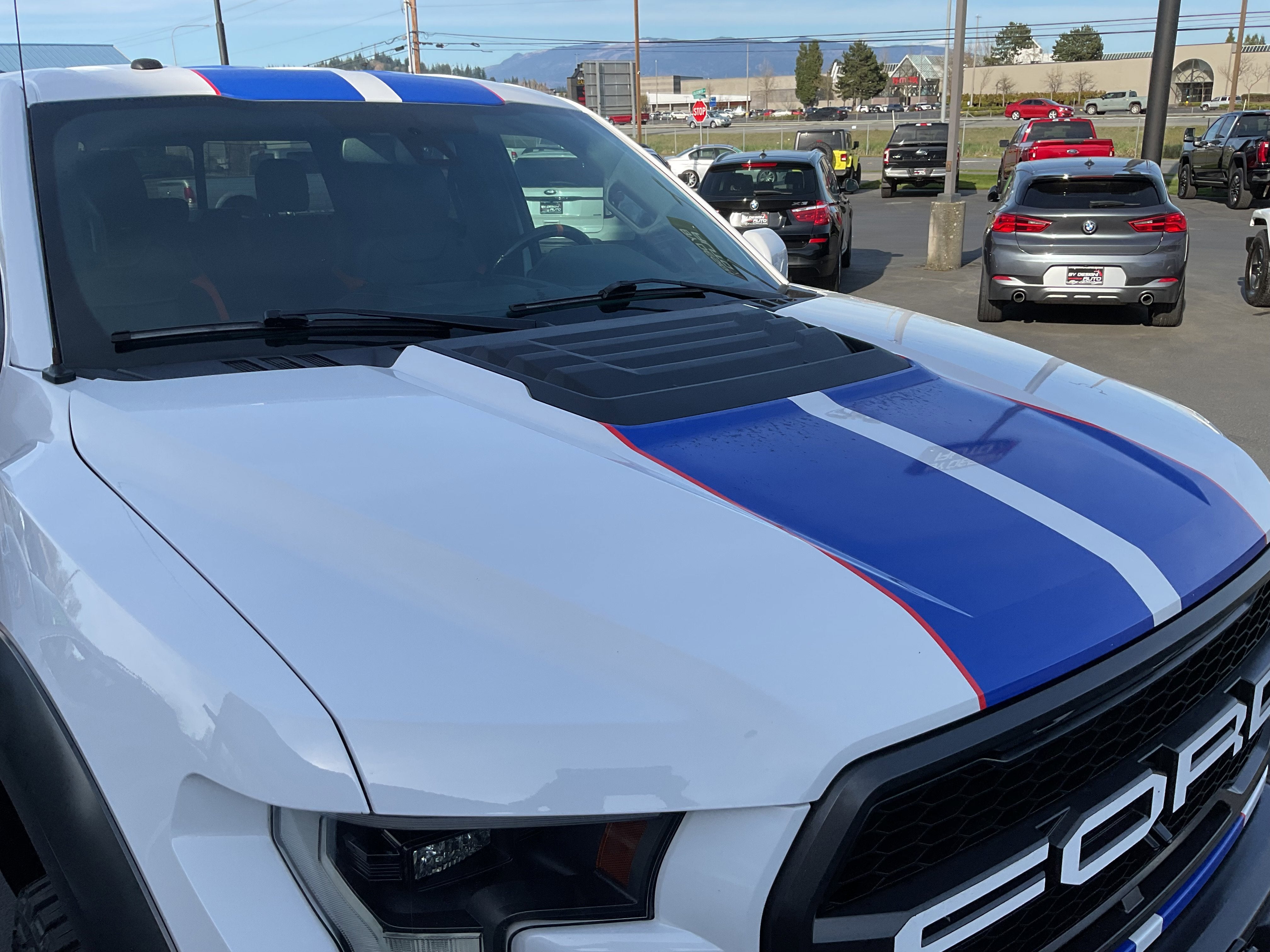 2017 Ford F-150 Raptor