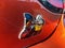 2020 Dodge Charger Scat Pack
